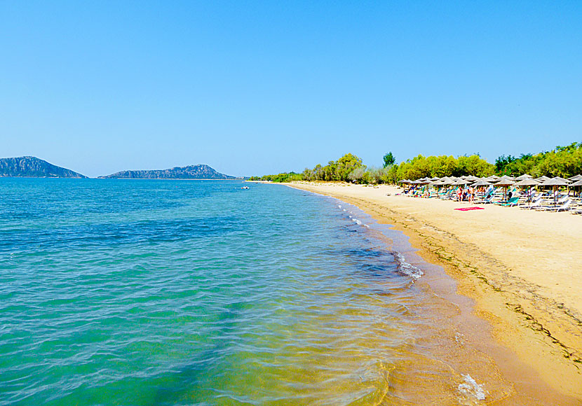 Gialova beach nära Pylos på Peloponnesos.