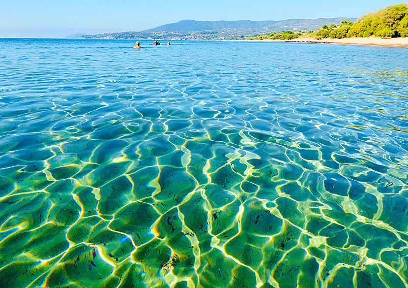 Snorkla i ljuvliga vattnet vid Zaga beach i Koroni.