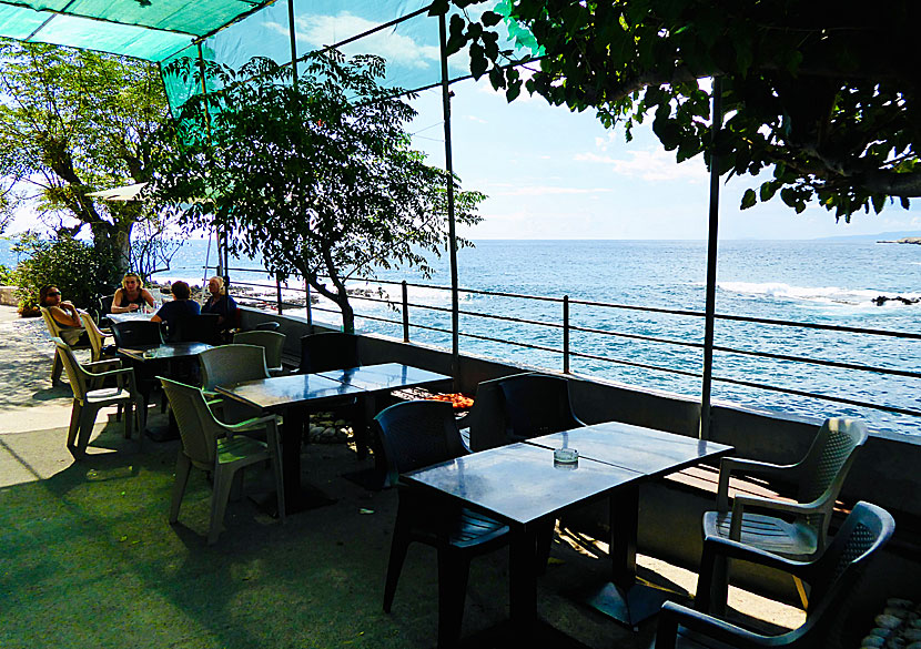 Taverna Akrogiali är den enda tavernan och restaurangen i Trachila.