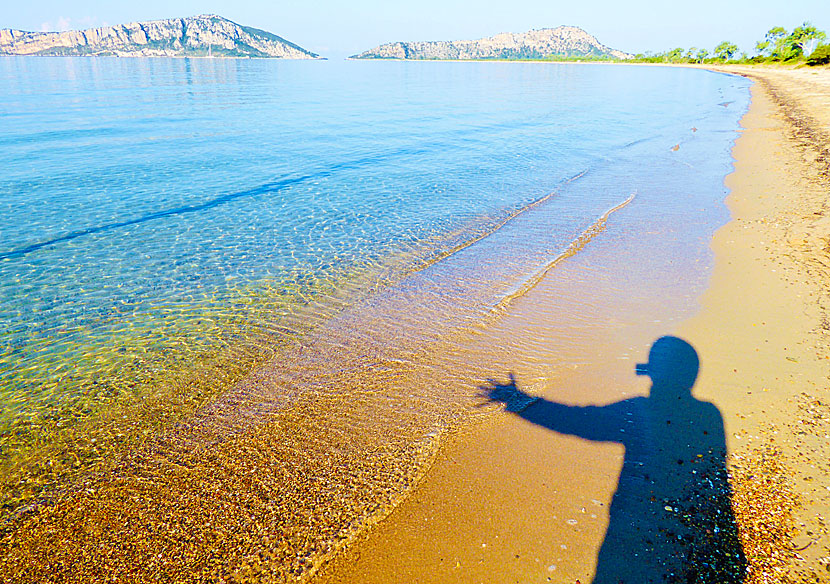 Golden beach nära Voidokilia och Pylos på Peloponnesos.