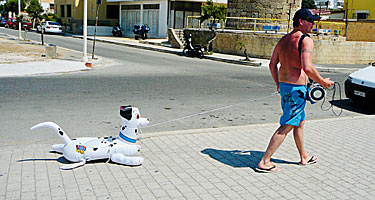 Pojken med hunden på Windy beach i Rhodos stad.