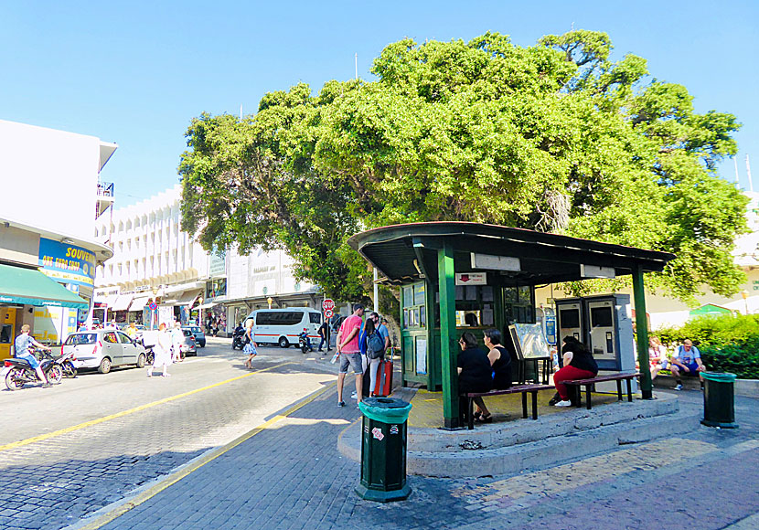 Busstationen i Mandrakihamnen på Rhodos.