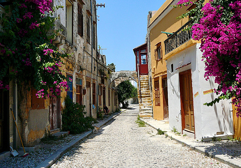 Rhodos gamla stad. 