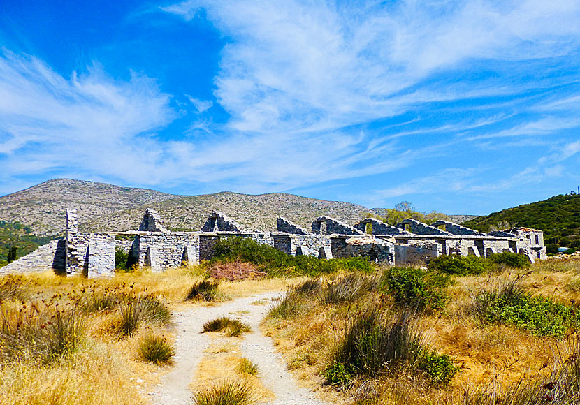 Våtmarken Alyki vid Mykali beach på östra Samos är ett eldorado för fågelskådare.