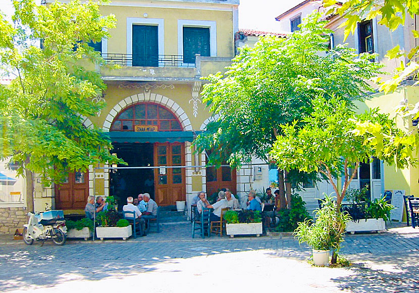 Det paleontologiska museet i Mytilini på Samos.