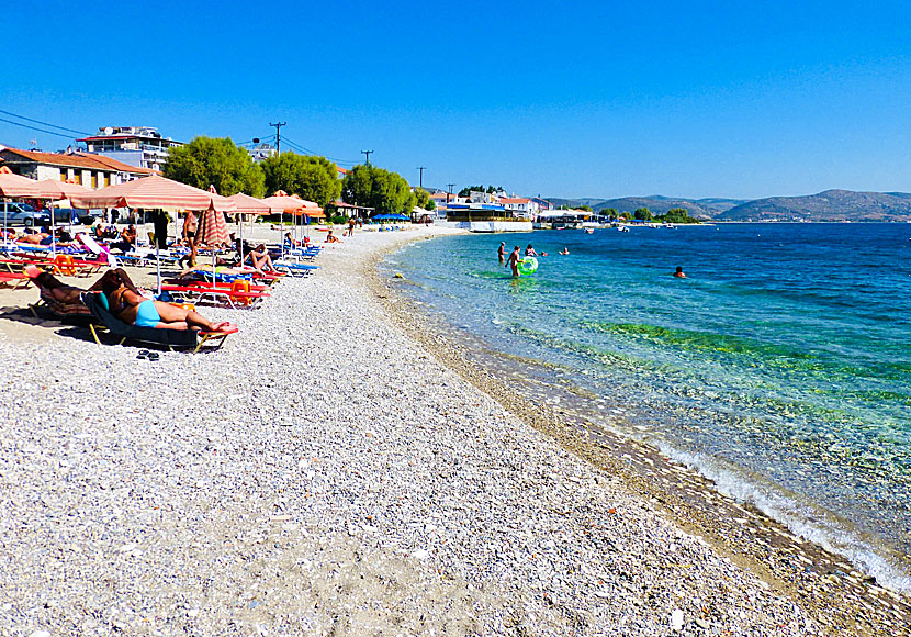 Samos bästa stränder. Ireon beach. 