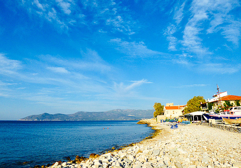 Samos bästa stränder. Tarsanas beach. 