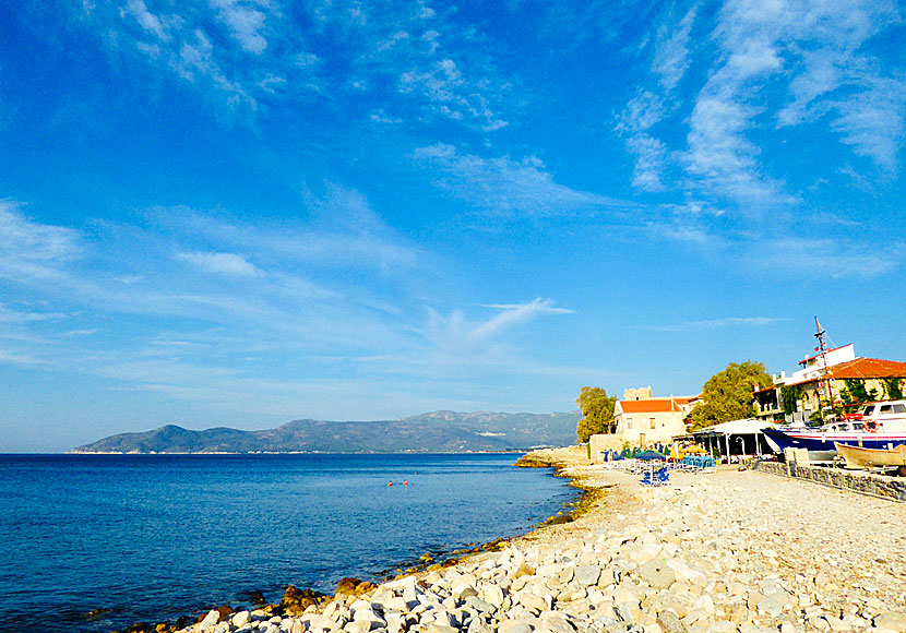 Tarsanas beach i Pythagorion på Samos.