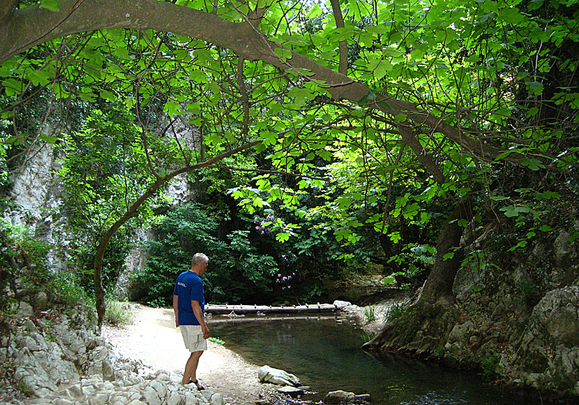 På vandring till vattenfallet ovanför Potami beach på Samos.