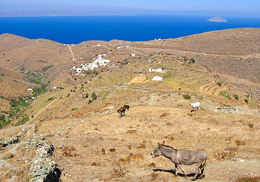 Den lilla byn Galani på Serifos.