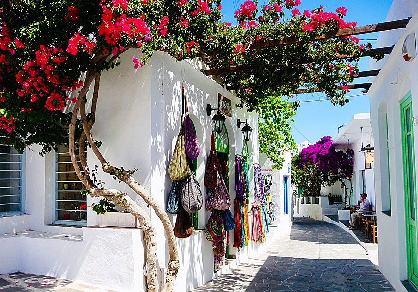 Apollonia. Sifnos. Kreikka.