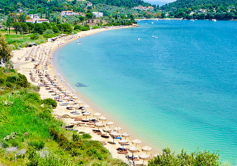 Agia Paraskevi beach på Skiathos.