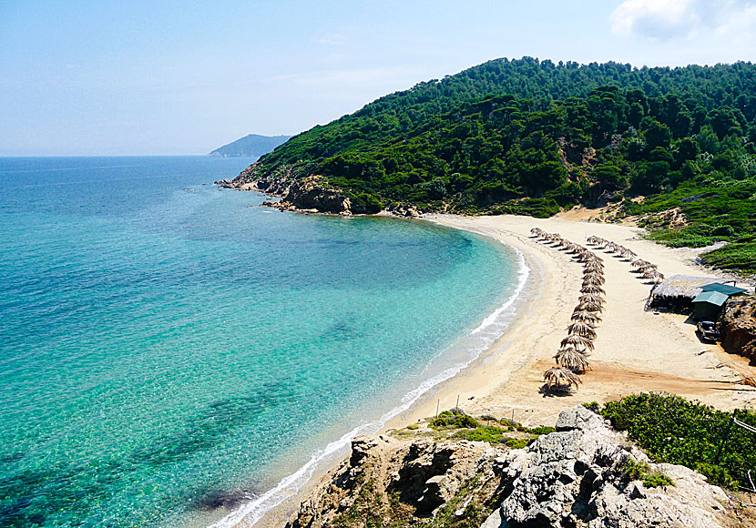 Skiathos bästa stränder. Agistro beach.