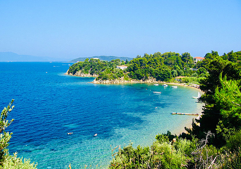 Skiathos bästa stränder. Kanapitsa beach.