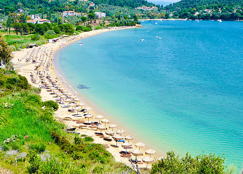 Agia Paraskevi beach på Skiathos.