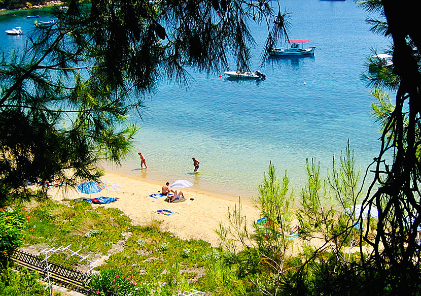 Kolios beach på Skiathos i Sporaderna.