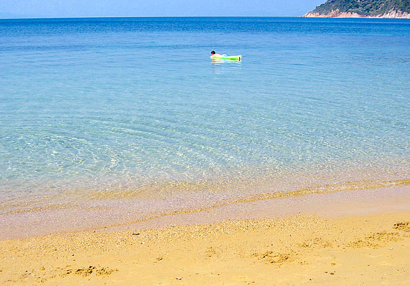 Maratha är en av Skiathos mest barnvänliga stränder och ligger nära Koukounaries.