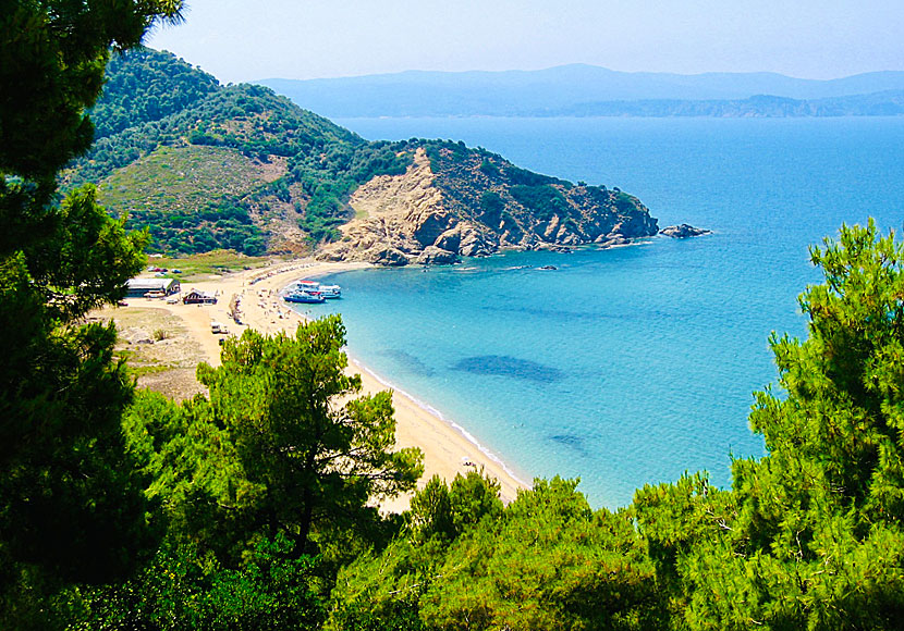 Skiathos bästa stränder. Megalos Aselinos beach.