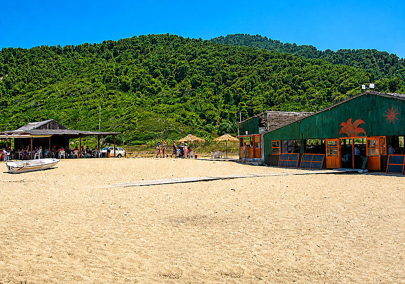 Tavernor och restauranger vid Megalos Aselinos beach p&aring; Skiathos i Grekland.