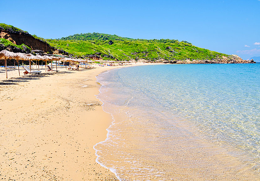 Skiathos bästa stränder. Mandraki beach.