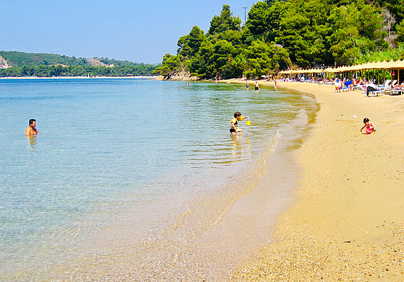 Skiathos bästa stränder. Maratha beach.