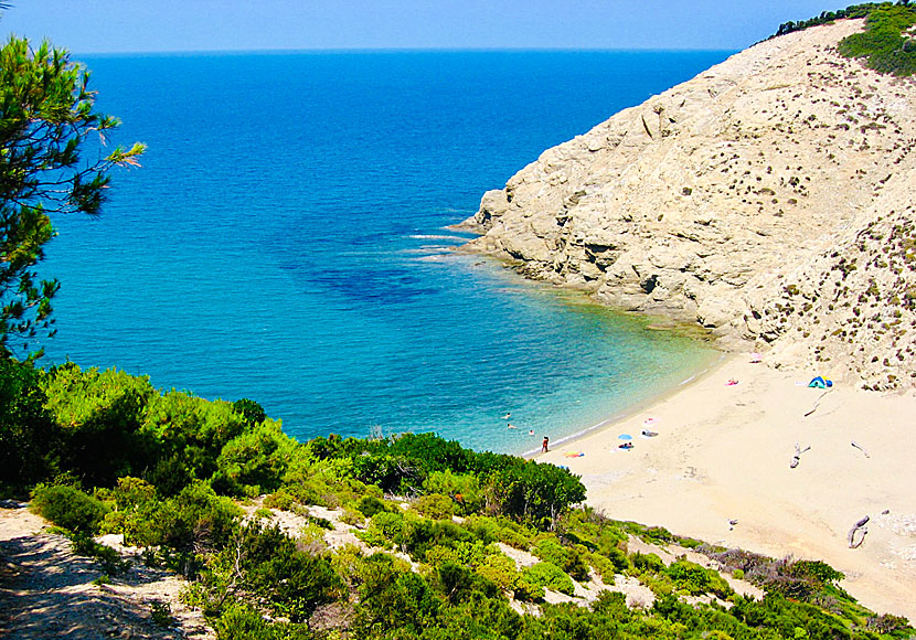 Skiathos bästa stränder. Mikros Aselinos beach.