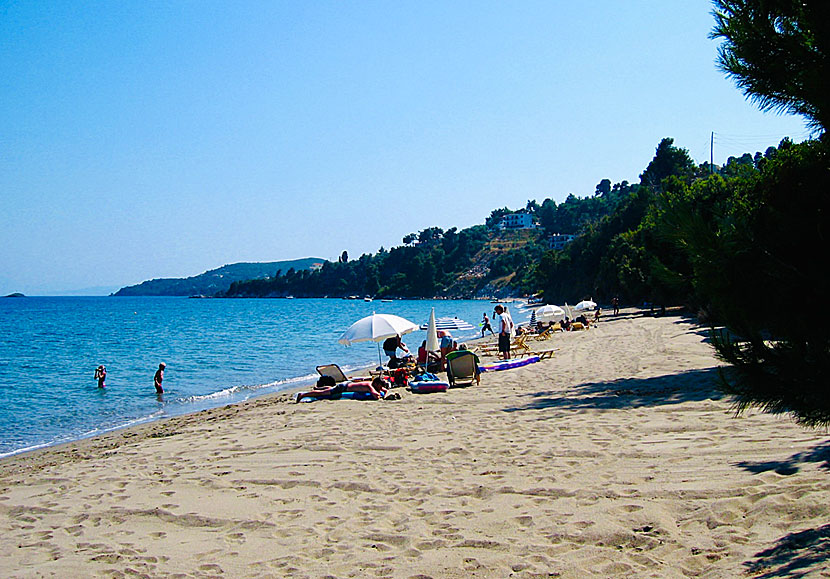 Skiathos bästa stränder. Mitikas beach.