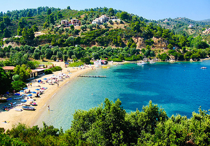 Tzaneria beach på Skiathos i Grekland.