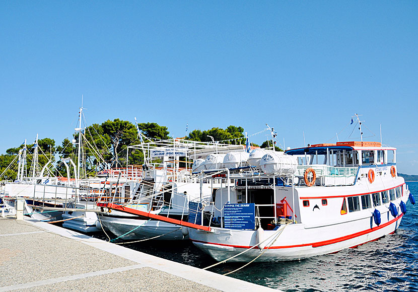 Bad- och utflyktsbåtar i lilla hamnen i Skiathos stad.