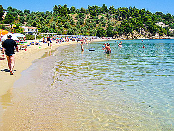 Fina barnvänliga sandstränder på Skiathos.  