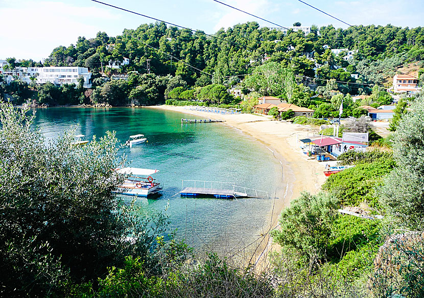 Skiathos bästa stränder. Tzaneria beach.