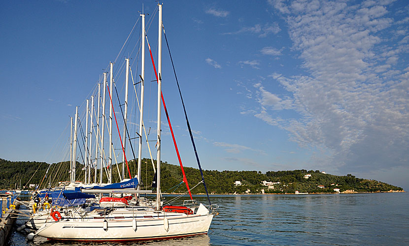 Segelbåtar i marinan i Skiathos stad. 