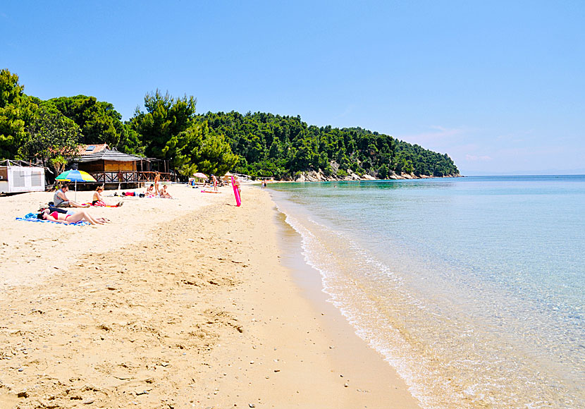 Skiathos bästa stränder. Vromolimnos beach.