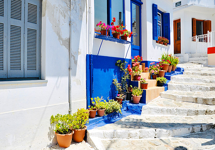 Blommor, gränder och trappor i Glossa på Skopelos i Grekland.