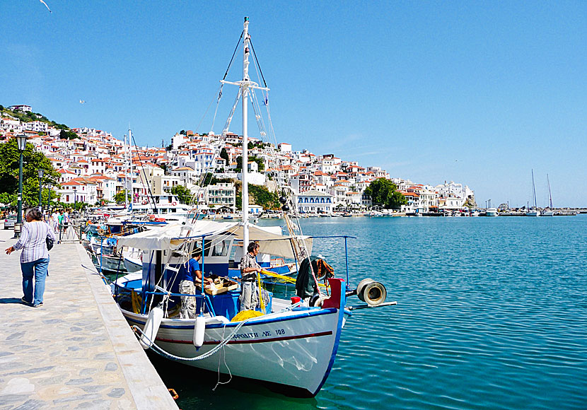 Från hamnpromenaden i Skopelos stad går utflyktsbåtar med Mamma Mia som tema.