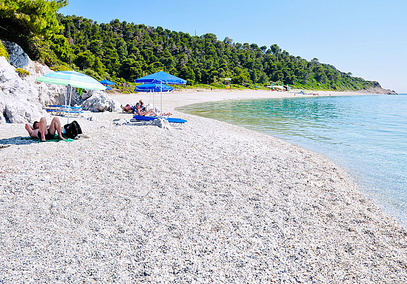 Stranden i Milia på Skopelos.