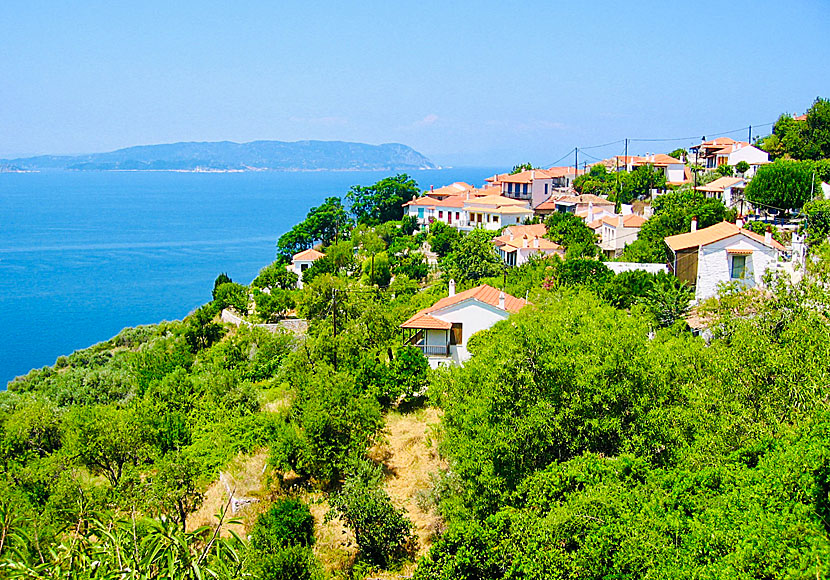 Byn Paleo Klima på Skopelos ligger väldigt fint i en grönskande sluttning full av oliv- citron- och apelsinträd.