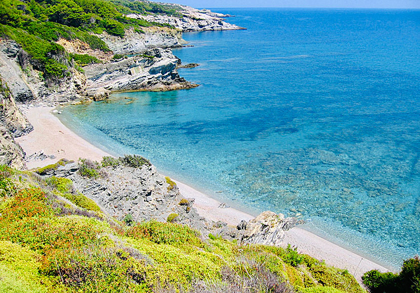 Perivolou beach på Skopelos.