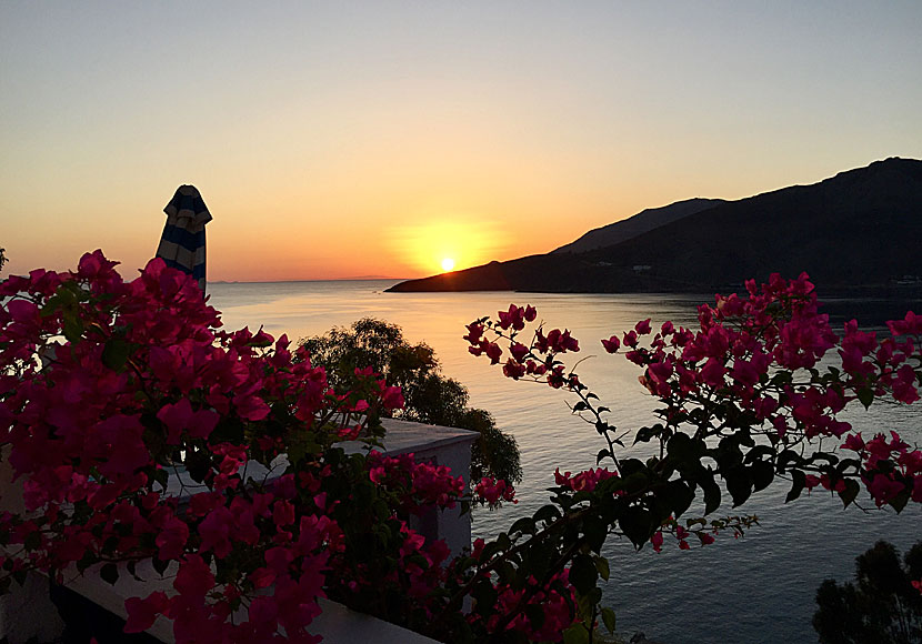 Kan en dag i Livadia på Tilos börja bättre än en kopp kaffe, en bukett bougainvillea och en soluppgång. 