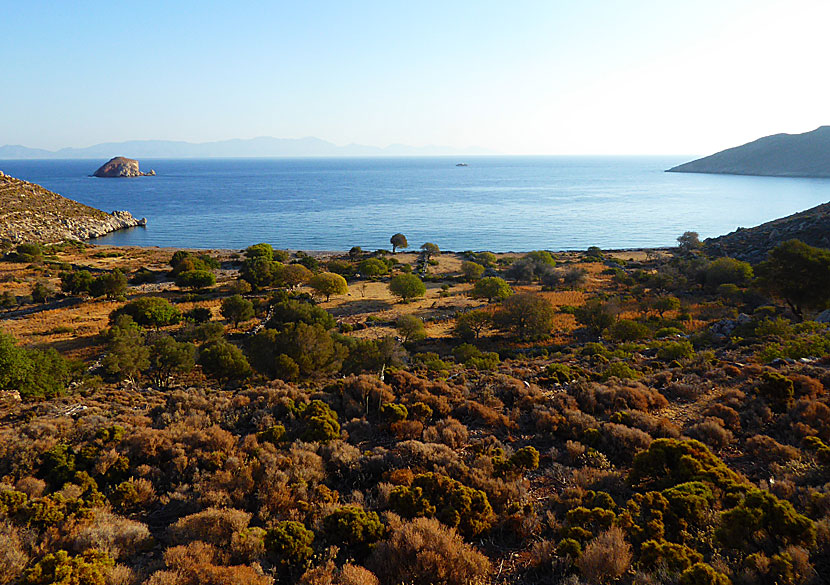 Gå till Lethra beach på Tilos.