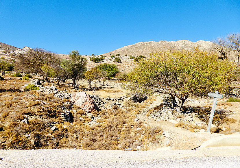 Vandra till Mikro Chorio från Livadia på Tilos.