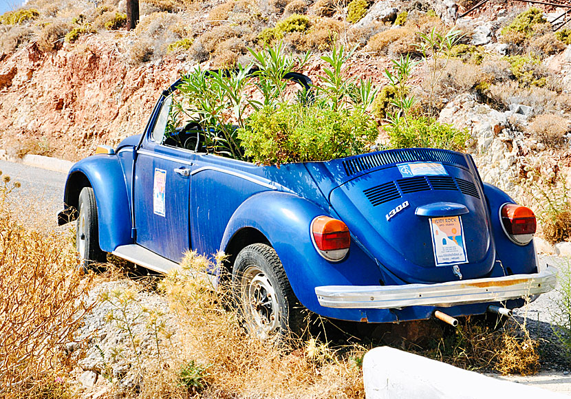 Utanför Hotel Ilidi Rock i Livadia på Tilos finns en Volkswagen Bubbla modell 1300 full med blommor. 