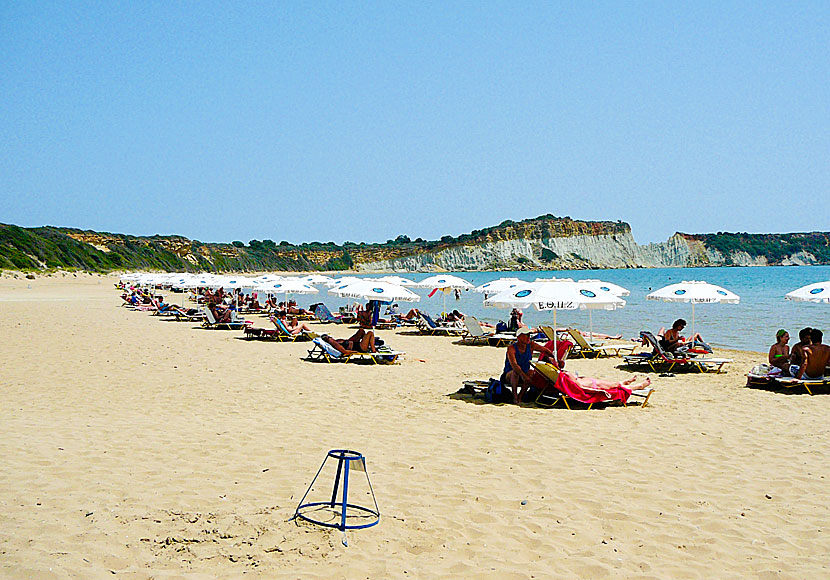 Sköldpaddan Caretta Caretta häckar på Gerakas beach på Zakynthos.
