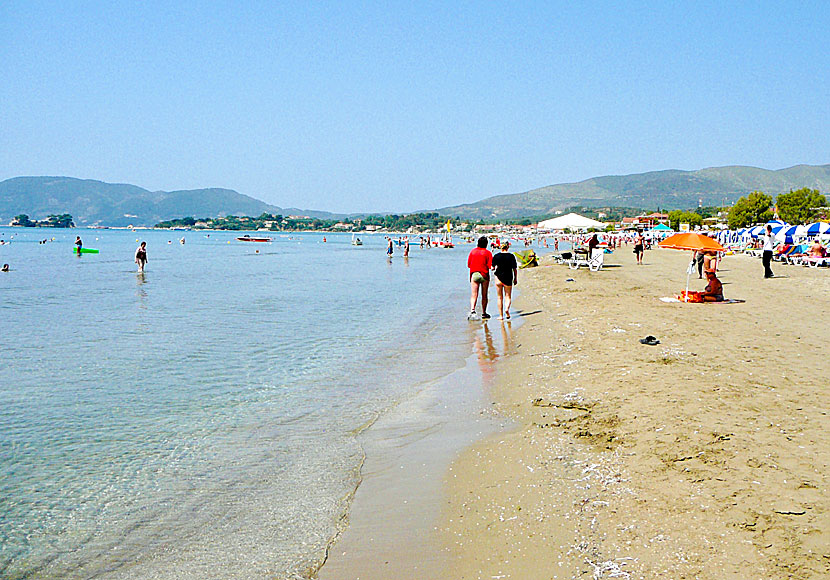 Den långa sandstranden i Laganas på Zakynthos.