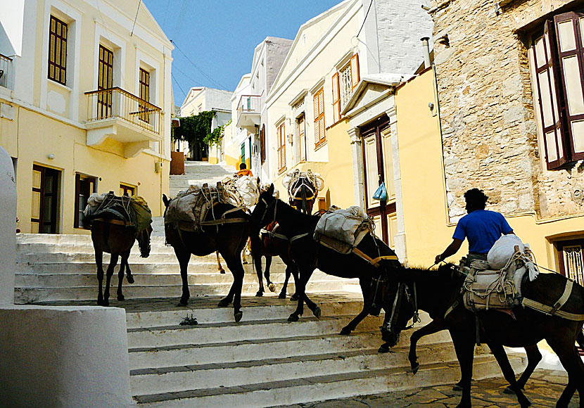 Den vackra trappan Kali Strata går mellan byarna Gialos och Chorio på Symi.