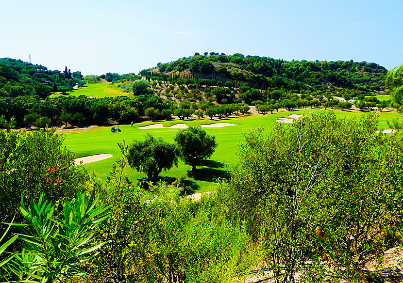 Spela golf på golfbanor i Costa Navarino på sydvästra Peloponnesos i Grekland. 