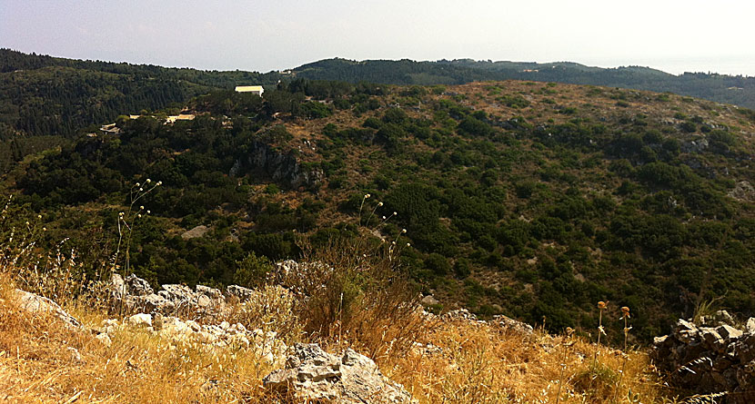 Othoni. Vitsentsiatika. Greece.