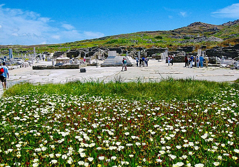 Delos. Kreikka