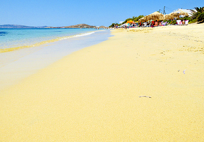 Plaka på Naxos är en av Greklands finaste stränder. 