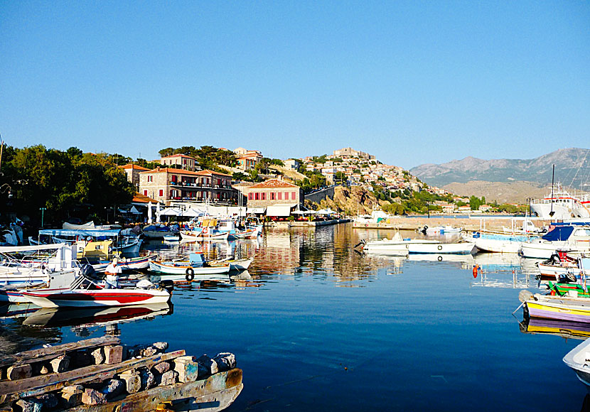 Molyvos på Lesbos är en av grekiska övärldens finaste byar.
